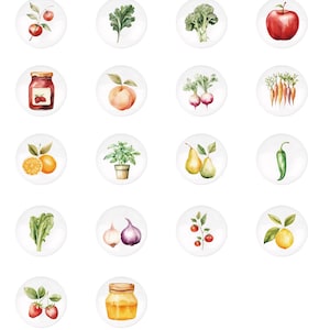 May include: A set of 16 watercolour illustrations of various fruits, vegetables, and other food items. Each illustration is on a white background and is surrounded by a white circle.