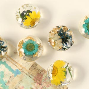 Pode incluir: Seis pesos de papel redondos de resina transparente com flores prensadas e folha de ouro no interior. Os pesos de papel apresentam uma variedade de flores, incluindo amarelas, azuis e brancas.