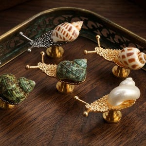 Kastknop natuurlijke schelp slak, messing basis dressoir handvat, unieke ladeknop zeeslak, kust Home decor hardware