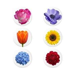 Op de afbeelding: Set van zes bloemknoppen met een roze roos, paarse anemoon, oranje tulp, gele zonnebloem, blauwe hortensia en rode pioenroos. Elke knop heeft een glanzende afwerking en een witte achtergrond.