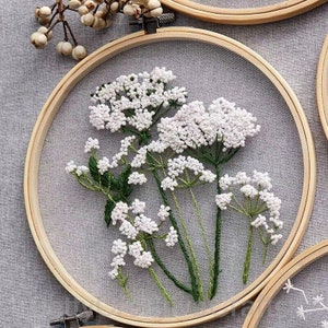 Embroidery Kit Beginner/ transparent botanical herb Embroidery Kit /Floral Hand Embroidery Full Kit /DIY Hoop Wall Art Kit, gift for her
