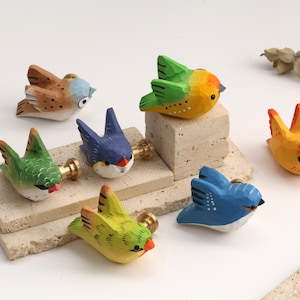May include: A collection of colorful, hand-painted wooden bird knobs. The knobs feature various bird designs in shades of blue, green, yellow, orange, and brown. Each bird has a gold-colored metal screw for easy installation. These decorative knobs are ideal for adding a whimsical touch to furniture.