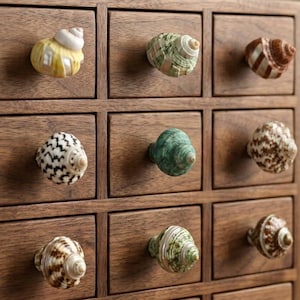 Könnte beinhalten: Ein Holzschrank mit neun quadratischen Schubladen in einer Drei-mal-drei-Anordnung. Jede Schublade hat eine einzigartige Muschel als Griff, die verschiedene Farben und Muster in Gelb, Grün, Braun und Weiß in spiralförmigen Designs aufweist.