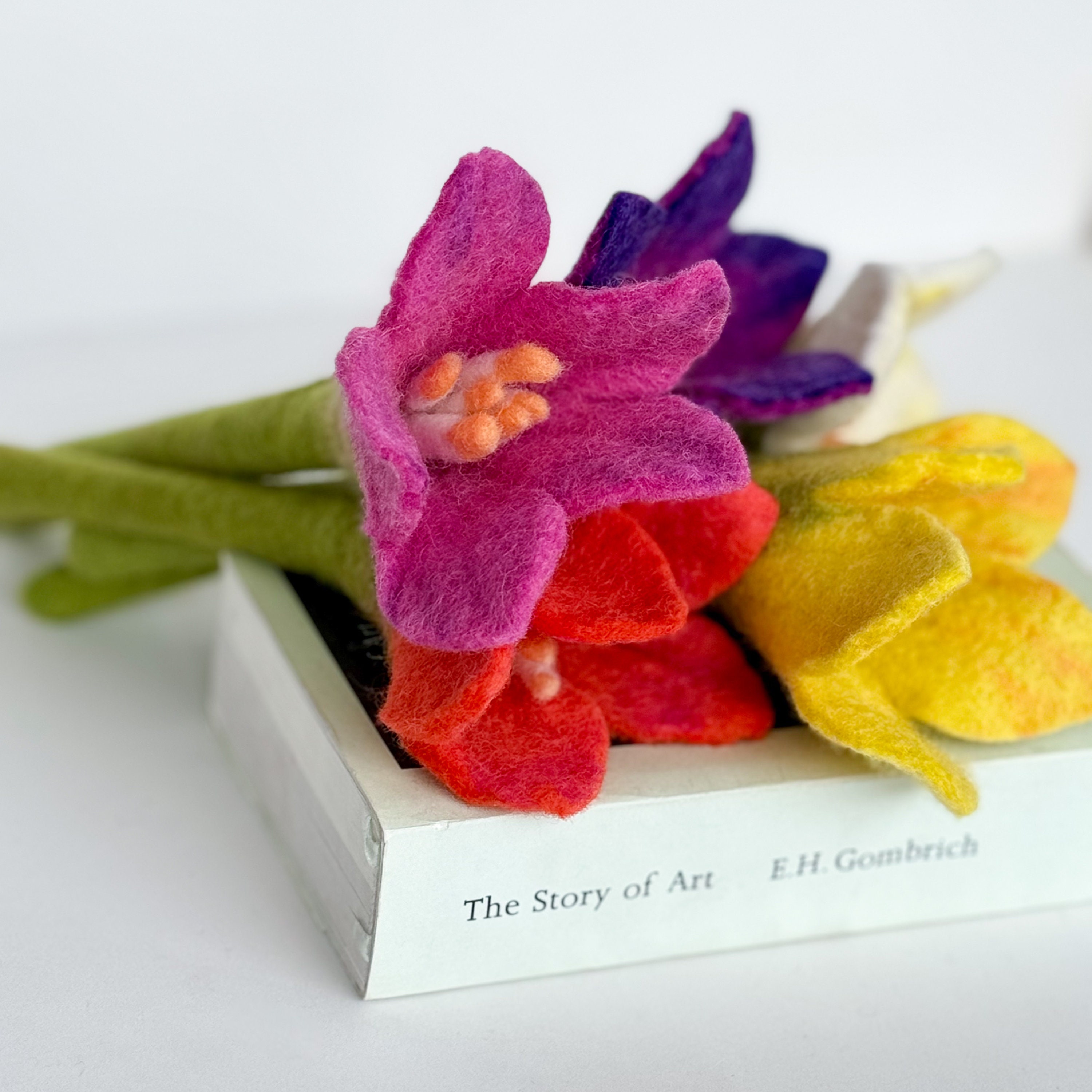 OSALADI 1 Ensemble Kit De Feutrage Aiguilleté Pour Débutants DIY De