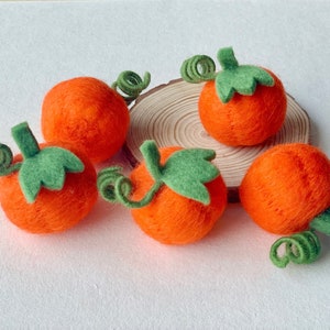 Gefilzter Kürbis, Nadelfilz Kürbis, Halloween Dekoration, Herbst Dekor, Kürbisgirlande, Gefilzte Accessoires, Wollfilz Formen