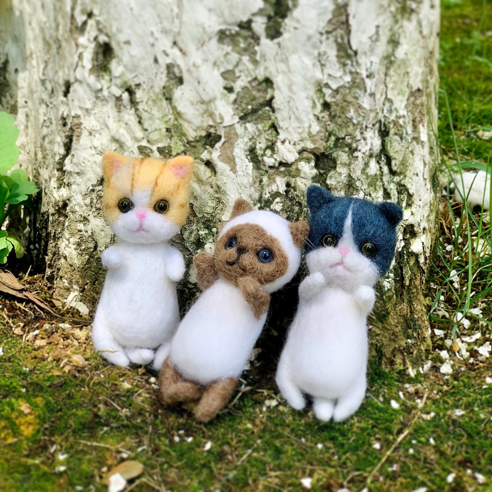 Cat Needle Felting Kit Needle Felt Cat Felted Animal Kit Etsy