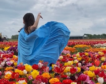 PerrinAndCo Silk Dress - Ruby Dress in Sky Blue