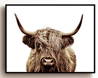LARGE A3 SIZE QUALITY CANVAS PRINT BEAUTIFUL HIGHLAND COW