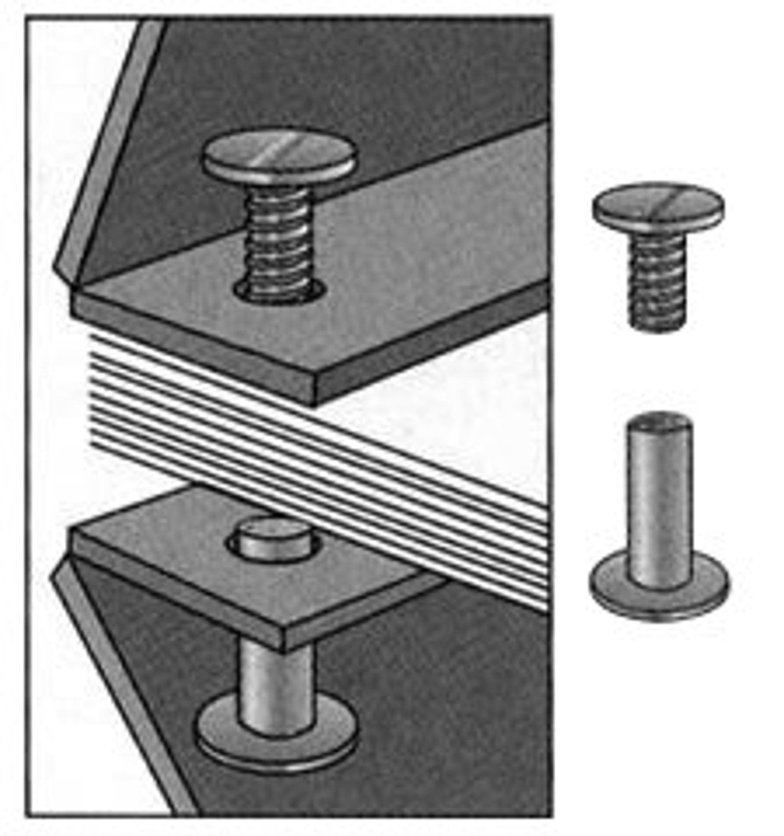 Screw Book Binding Post Etsy