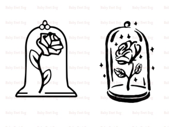 Belle Rose