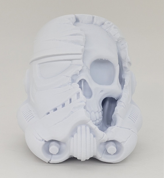 Child skull, 12 year old | 4725