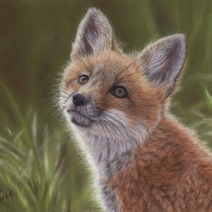 Fox Original Pastel Drawing 29 x 20 cm