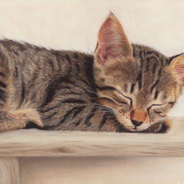 Original pastel drawing of a sleeping kitten, 28 x 20 cm