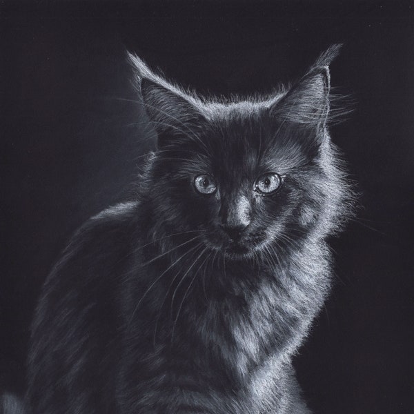Original white charcoal drawing of a Maine Coon cat, 24 x 32 cm