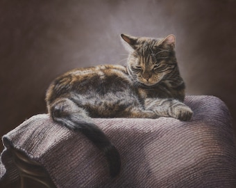 Original pastel drawing of a resting cat, 68 x 47 cm