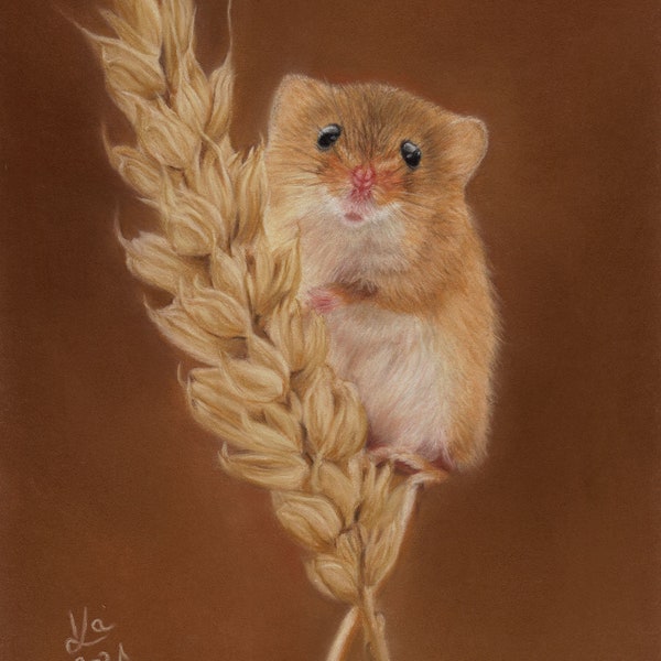 Original pastel drawing of a dwarf mouse