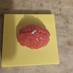 human brain shaped candle