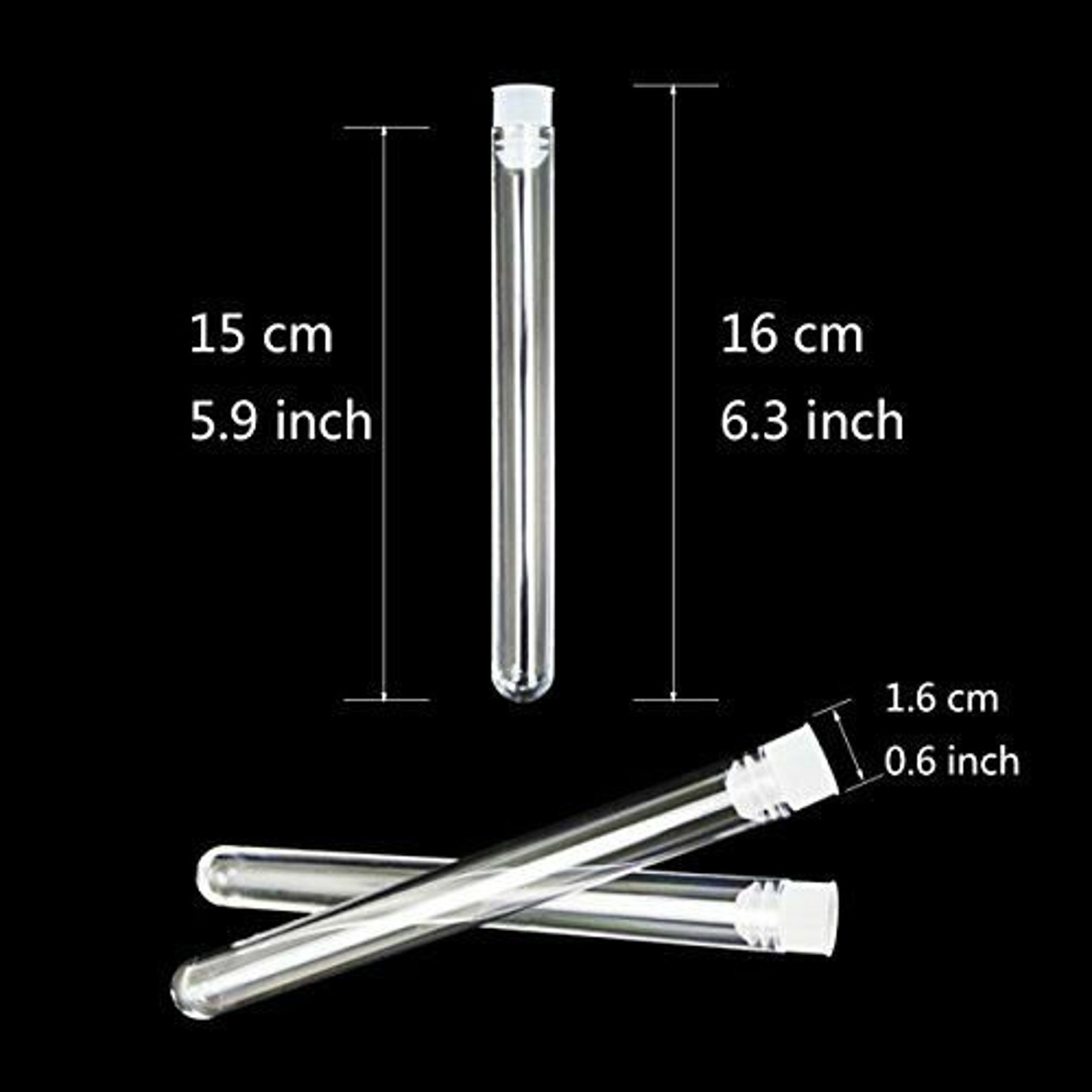 Queen Ant Clear Test Tube for Farm Formicarium Ants 16x150mm Etsy