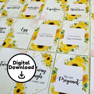 Cartes d'étapes de FIV tournesol téléchargeables pour la recherche de la fertilité