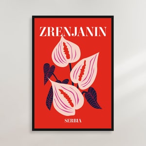 Zrenjanin, Serbien - Blumenmarkt Poster