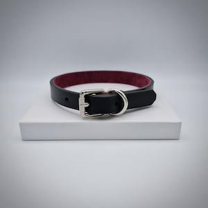 May include: A black leather collar with a burgundy interior. The collar features a silver-colored buckle and a D-ring. The collar is displayed on a white surface.