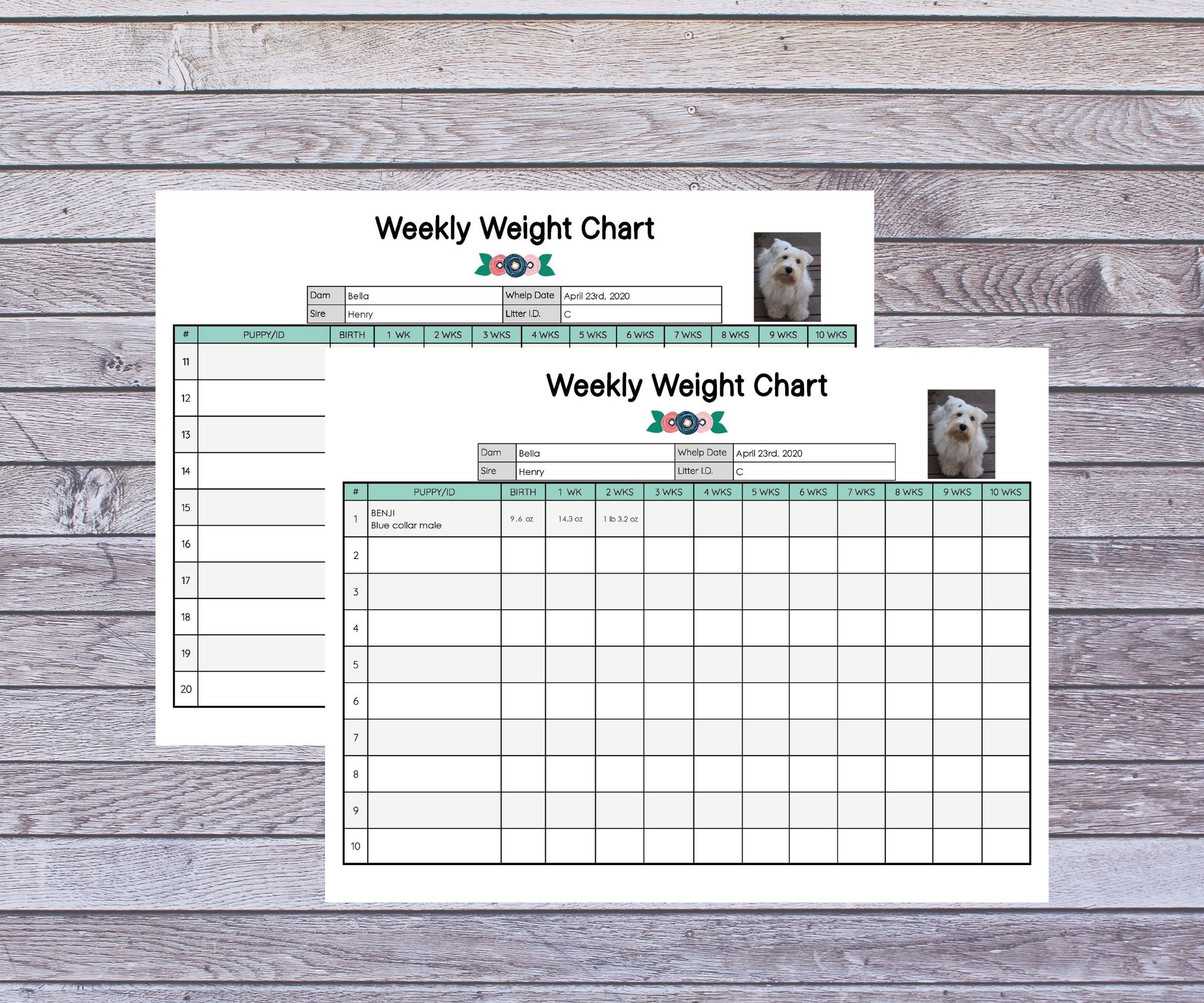 Weekly Puppy Weights Chart Breeder Litter Records/Forms Etsy