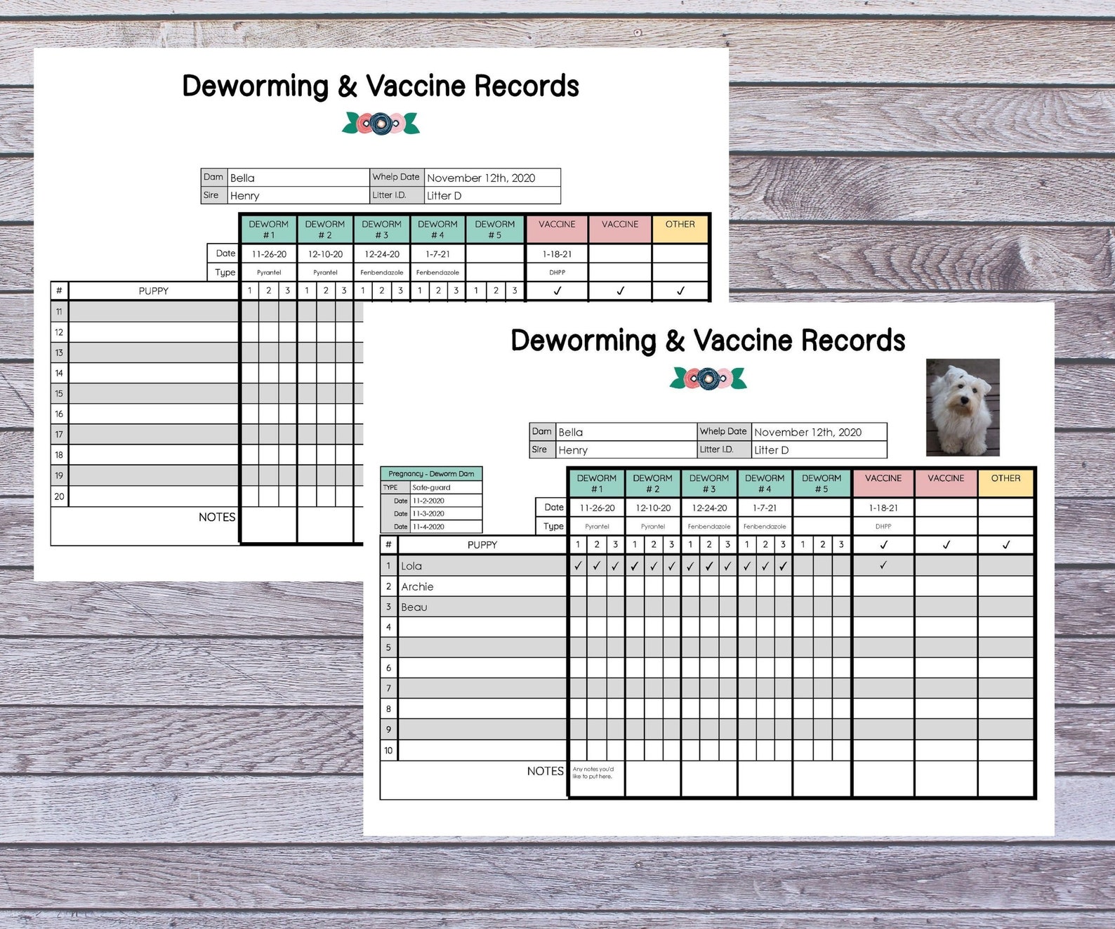 Breeder Litter Record Deworming & Vaccines Chart Etsy