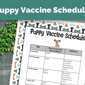 May include: A chart outlining a puppy vaccine schedule with recommended and optional vaccinations for different ages. The chart includes the age of the puppy, recommended vaccinations, and optional vaccinations. The chart is illustrated with a cartoon puppy.