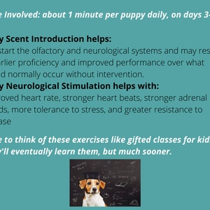 Breeder ENS & ESI Kit for Puppies Early Neurological Stimulation and Early Scent Introduction image 5