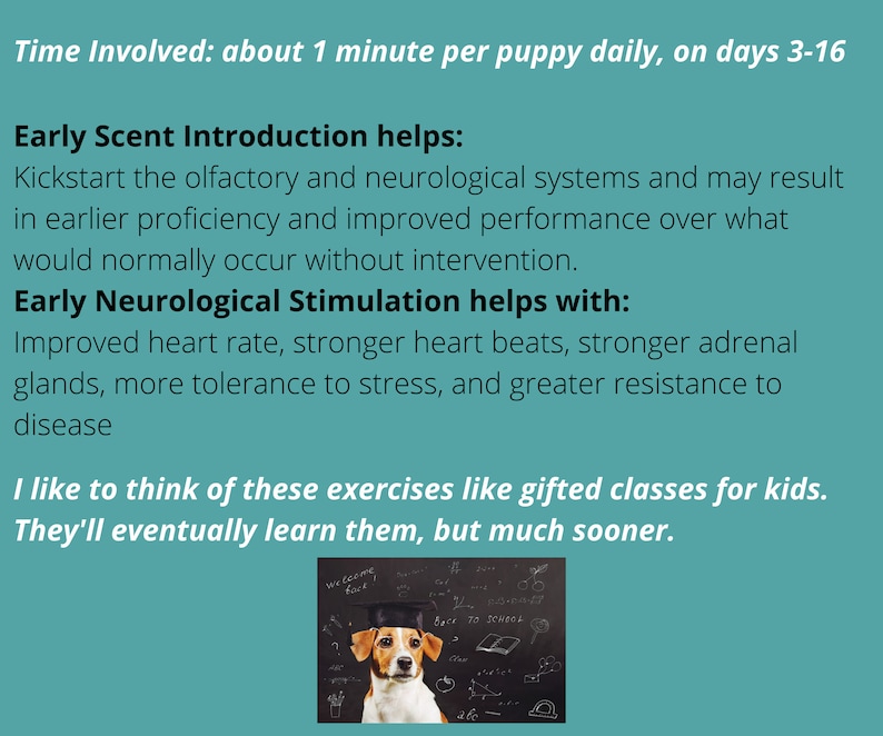 Breeder ENS & ESI Kit for Puppies Early Neurological Stimulation and Early Scent Introduction image 5