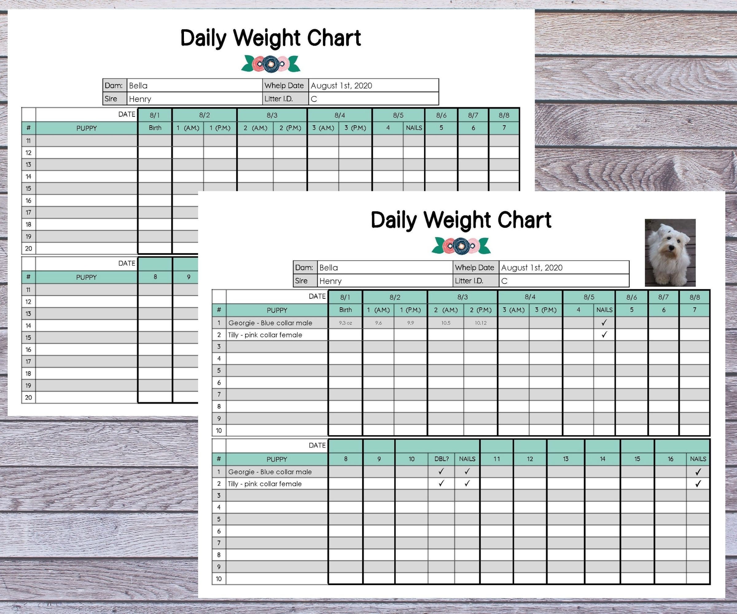daily-puppy-weight-chart-litter-records-for-dog-breeders-16-etsy
