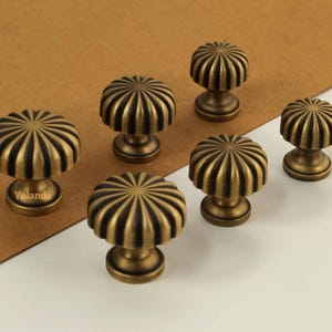 May include: Six antique brass cabinet knobs with a ribbed, sunflower-like design. The knobs are arranged on a brown and white surface. The word "Yolanda" is printed on one of the knobs.