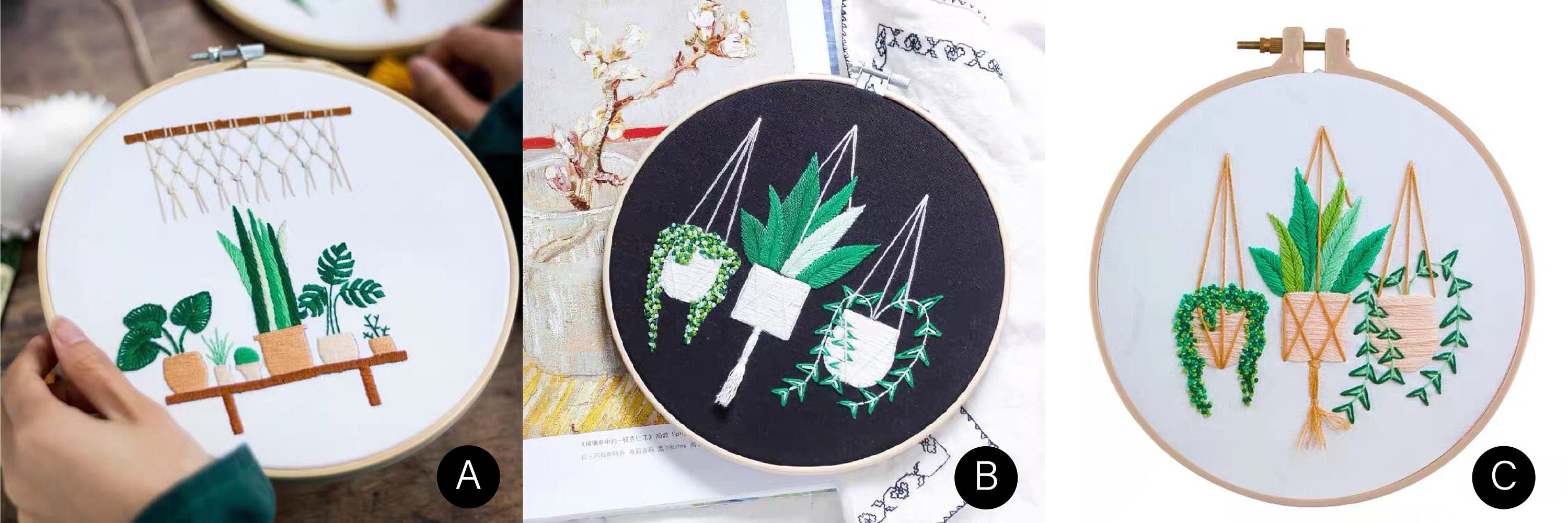 Succulent Embroidery Kit for Beginner Embroidery Kit Plants Etsy