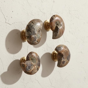May include: Four fossil ammonite cabinet knobs with brass fittings are mounted on a textured, off-white wall. The knobs are a mix of brown, grey, and tan, showing the natural patterns of the fossils.
