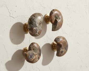 Può includere: Quattro pomelli per mobili in ammonite fossile con ferramenta in ottone sono montati su una parete strutturata bianco sporco. I pomelli sono un mix di marrone, grigio e beige, che mostrano i motivi naturali dei fossili.