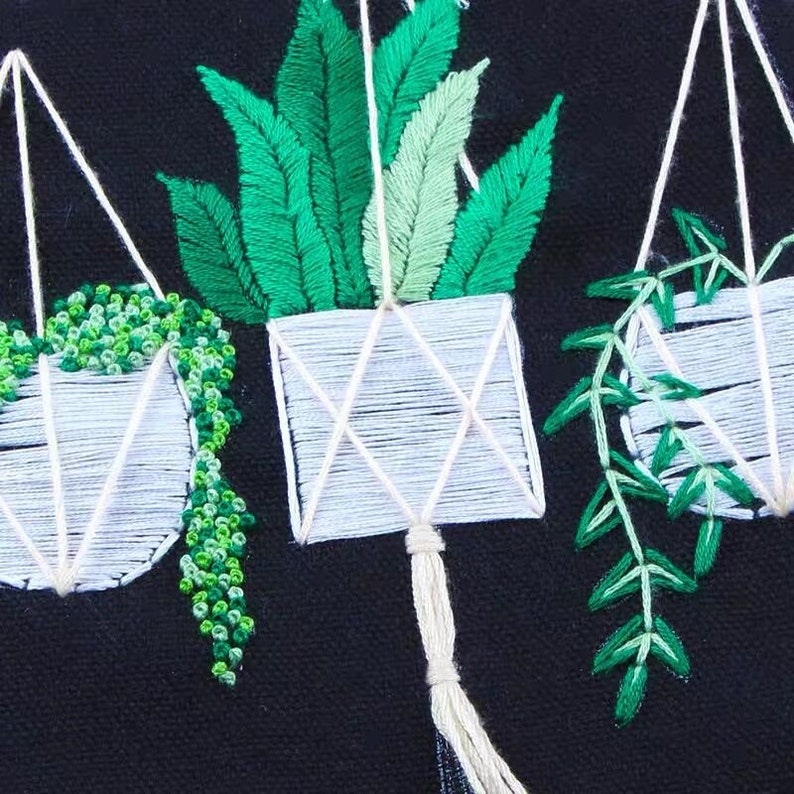 Succulent Embroidery Kit for Beginner Embroidery Kit Plants Etsy