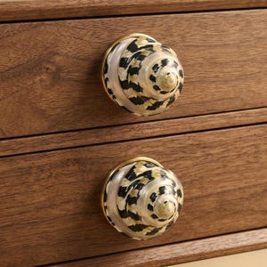Natural Nerite Shell Cabinet Dresser knob Art Spiral Conch Shell Drawer Cupboard knobs pull Boho Beach Themed Wardrobe Bathroom Vanity Knobs