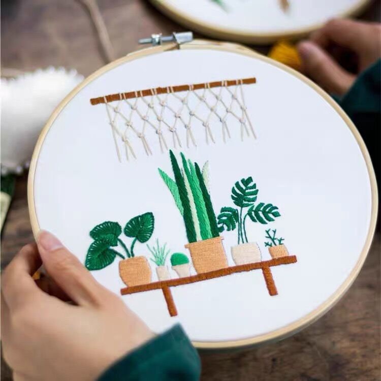 Succulent Embroidery Kit for Beginner Embroidery Kit Plants Etsy