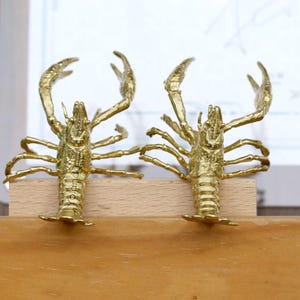 Lobsters Brass Cabinet Handles Pull Animals Brass Drawer Door Handles Pulls Knobs Handle, DIY laser engraved Wardrobe Knob handle pull