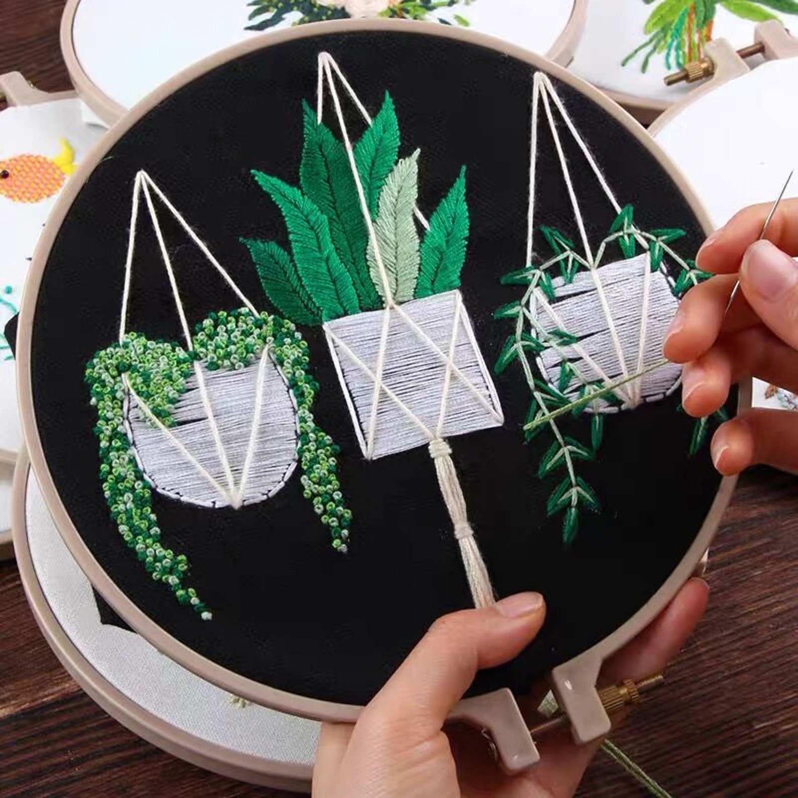 Succulent Embroidery Kit for Beginner Embroidery Kit Plants Etsy