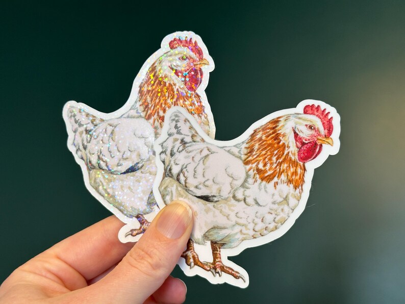 Watercolor Chicken Sticker, Cute Poultry Lover Holographic Stickers ...