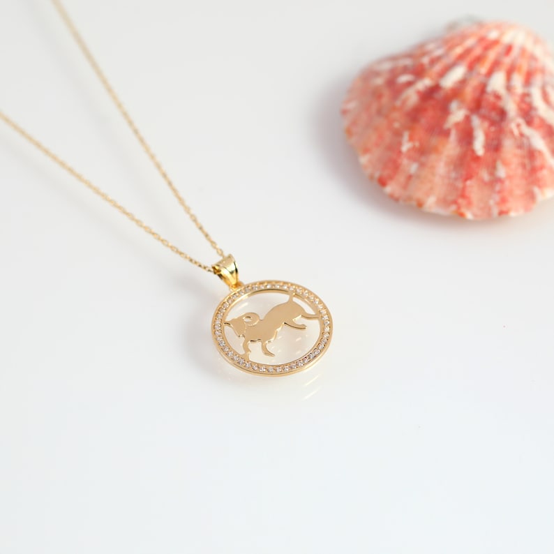 Capricorn Necklace 14k Gold Capricorn 