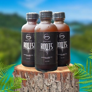 Op de afbeelding: Drie bruine flessen met zwarte etiketten en het woord "ROOTS" in het wit, weergegeven op een boomstronk. De etiketten bevatten ook een wortelafbeelding en de tekst "SACRED ORGANICS". Varens en een vage achtergrond vormen de achtergrond.