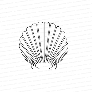 May include: A simple line drawing of a seashell with a rounded shape and a series of lines radiating from the center.