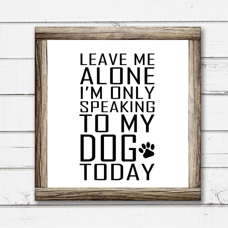 Spectacular My Dog Will Not Leave Me Alone Moment Photography Spectacular My Dog Will Not Leave Me Alone Moment Photography