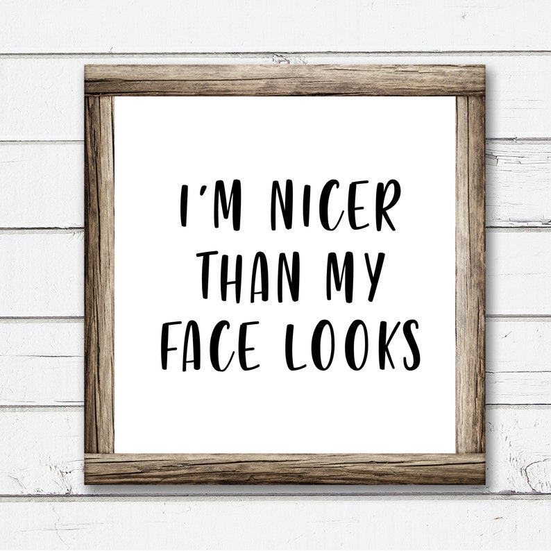 i am nicer than my face looks