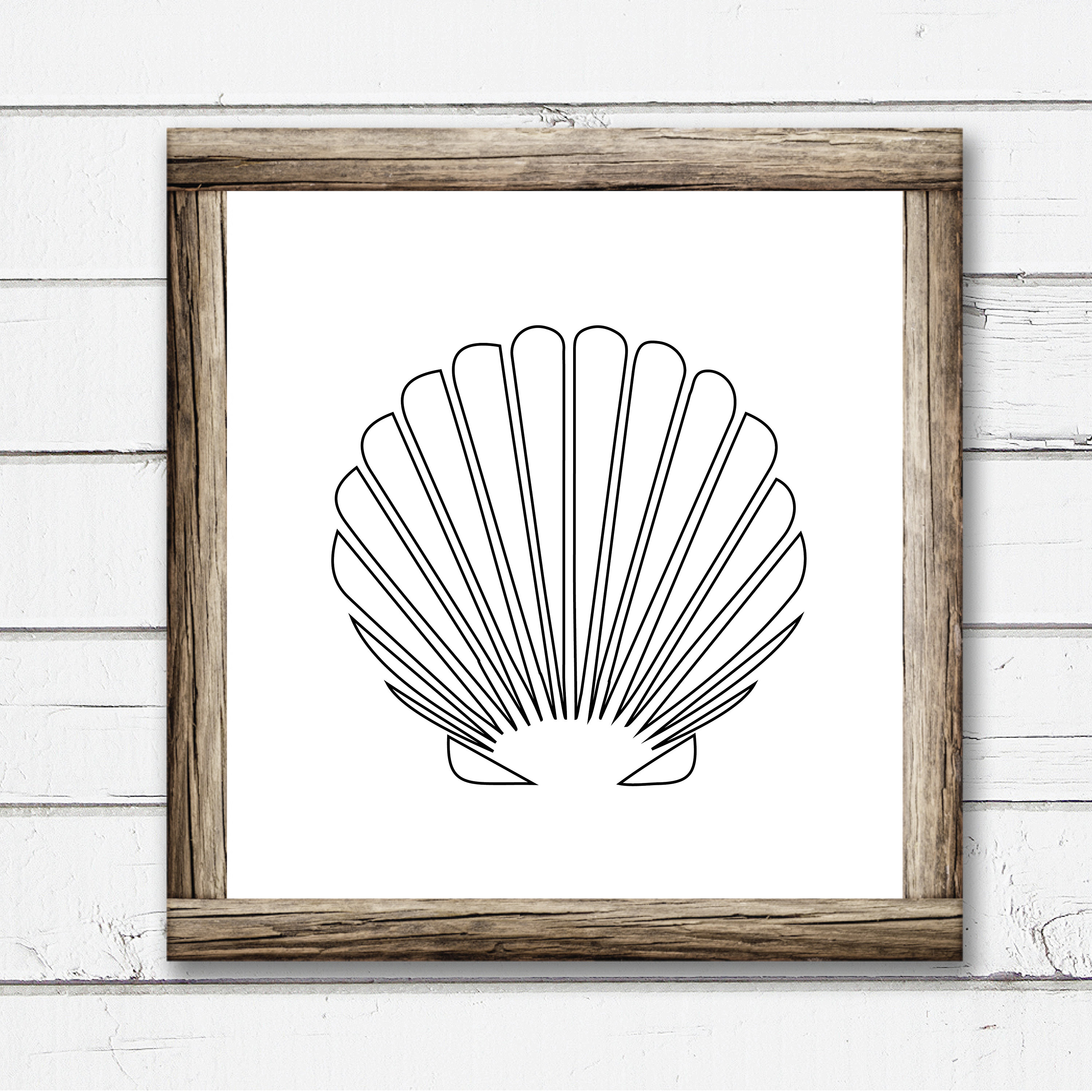 Shell Dxf Sea Shells / Vectored Sea Shell Designs / Shell Cutter Files / Shells ...