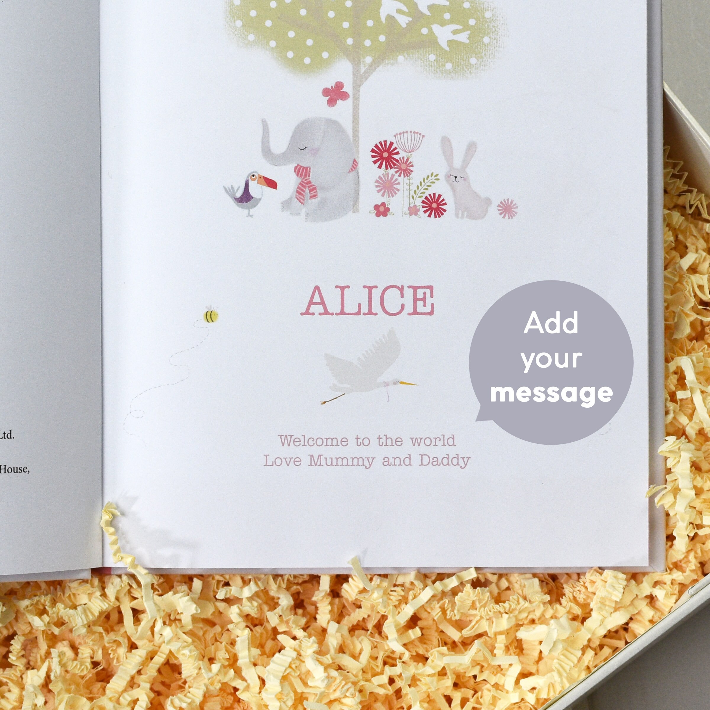 Personalised Baby Story Book and Elephant Toy Set Gift Box Etsy