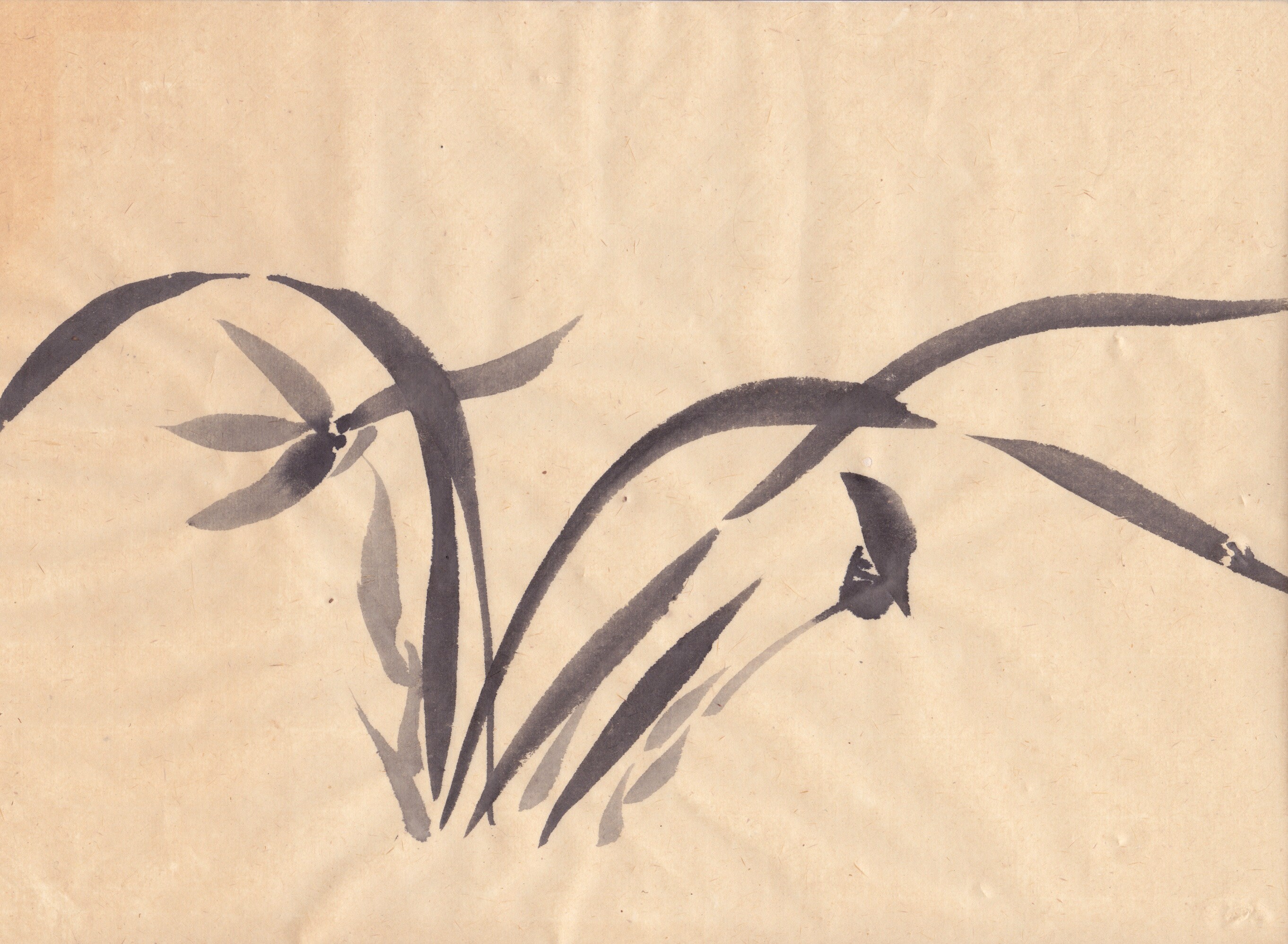 Japanese Brush Painting Zen Greeting Card Spring Orchid Etsy