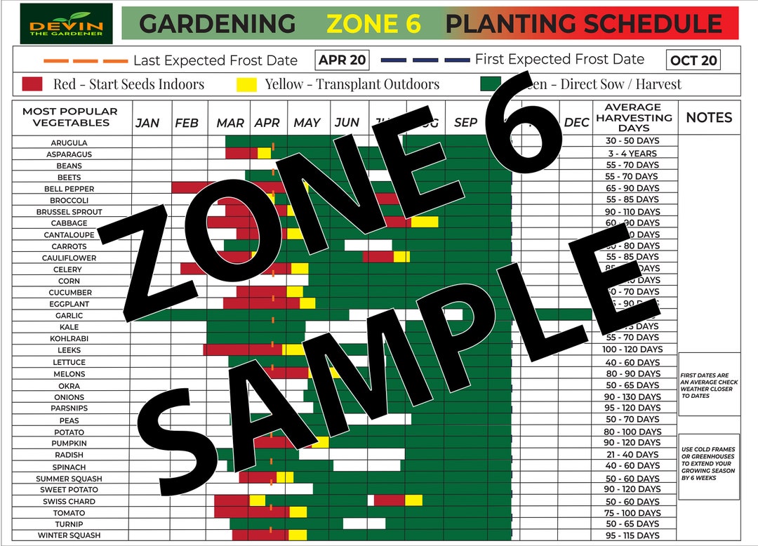 Garden Zone 6 Planting Schedule Garden Gifts (Instant Download) Etsy Garden Zone 6 Planting Schedule Garden Gifts (Instant Download) Etsy
